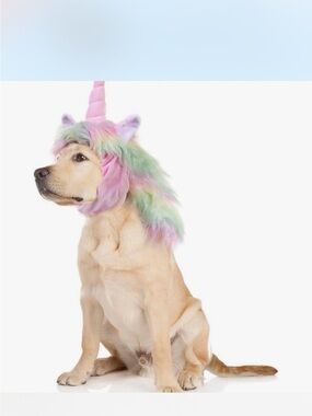 Amazon Pastel Rainbow Unicorn Dog Headpiece with Pink Horn